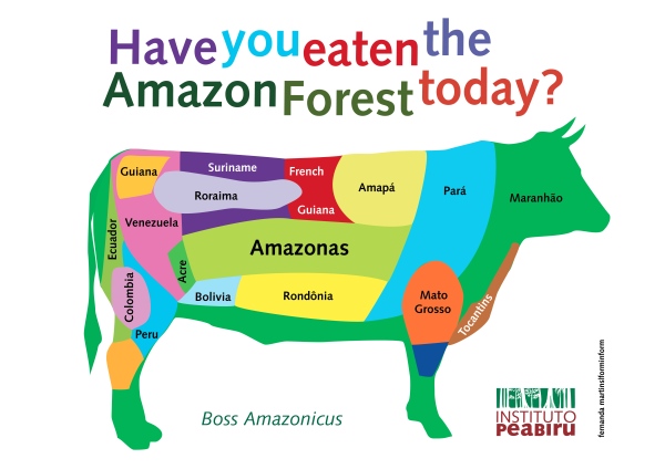 Where does deforestation occur?